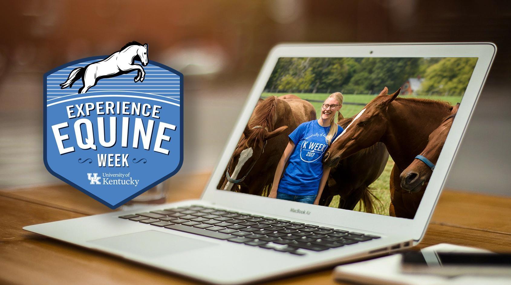 Marketing Graphic for Experience Equine Week