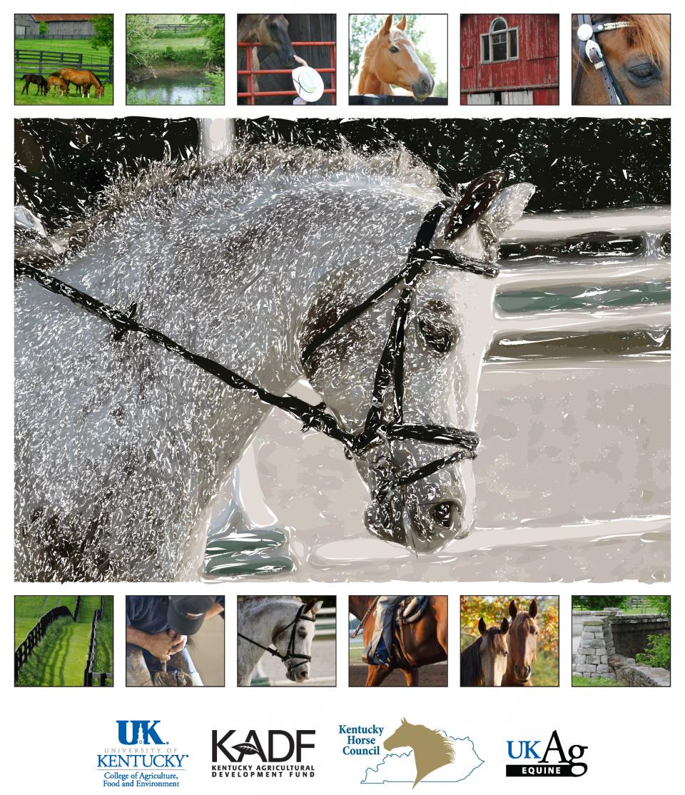 2012 Kentucky Equine Survey Report Cover