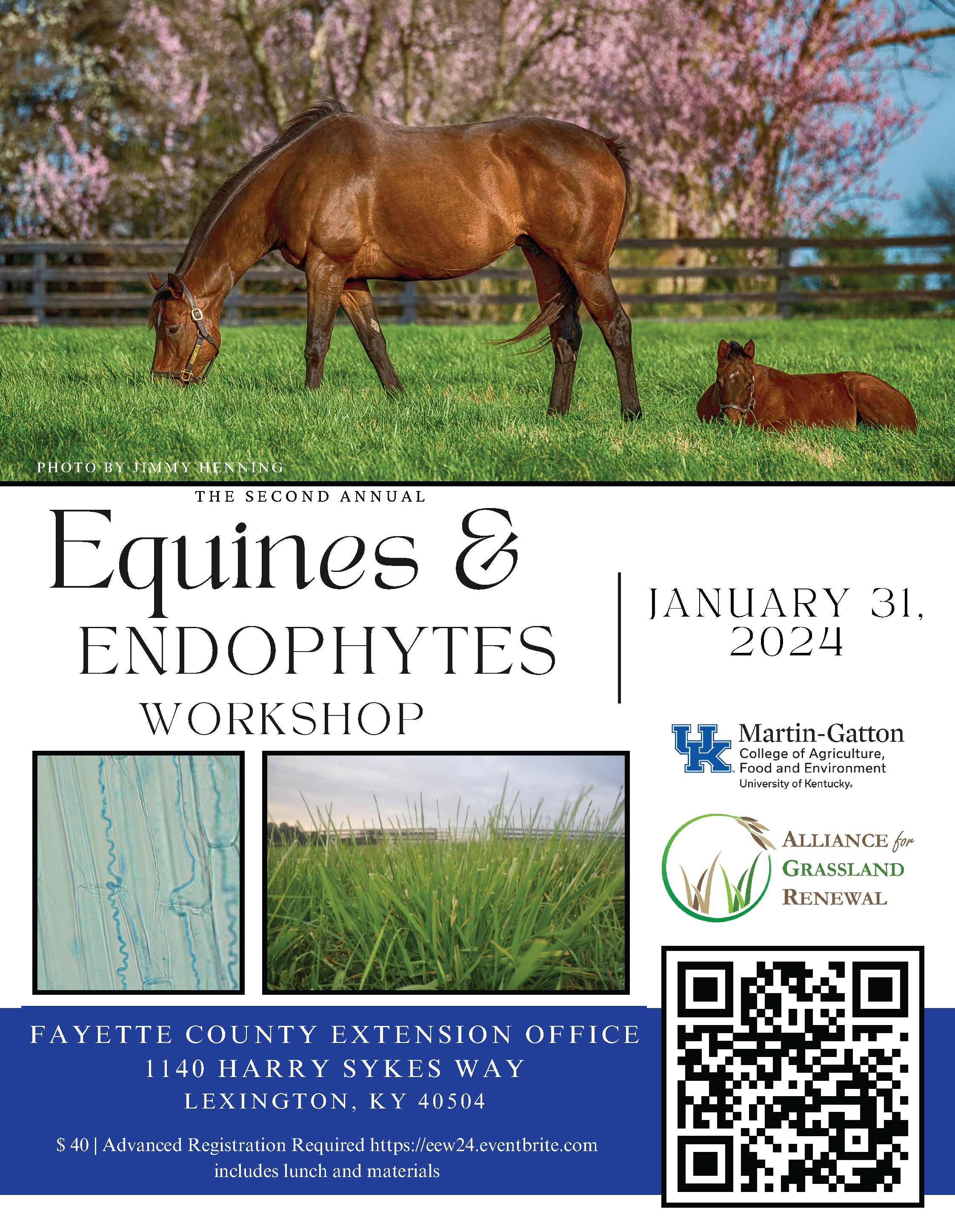 Equine_and_Endophytes_2024
