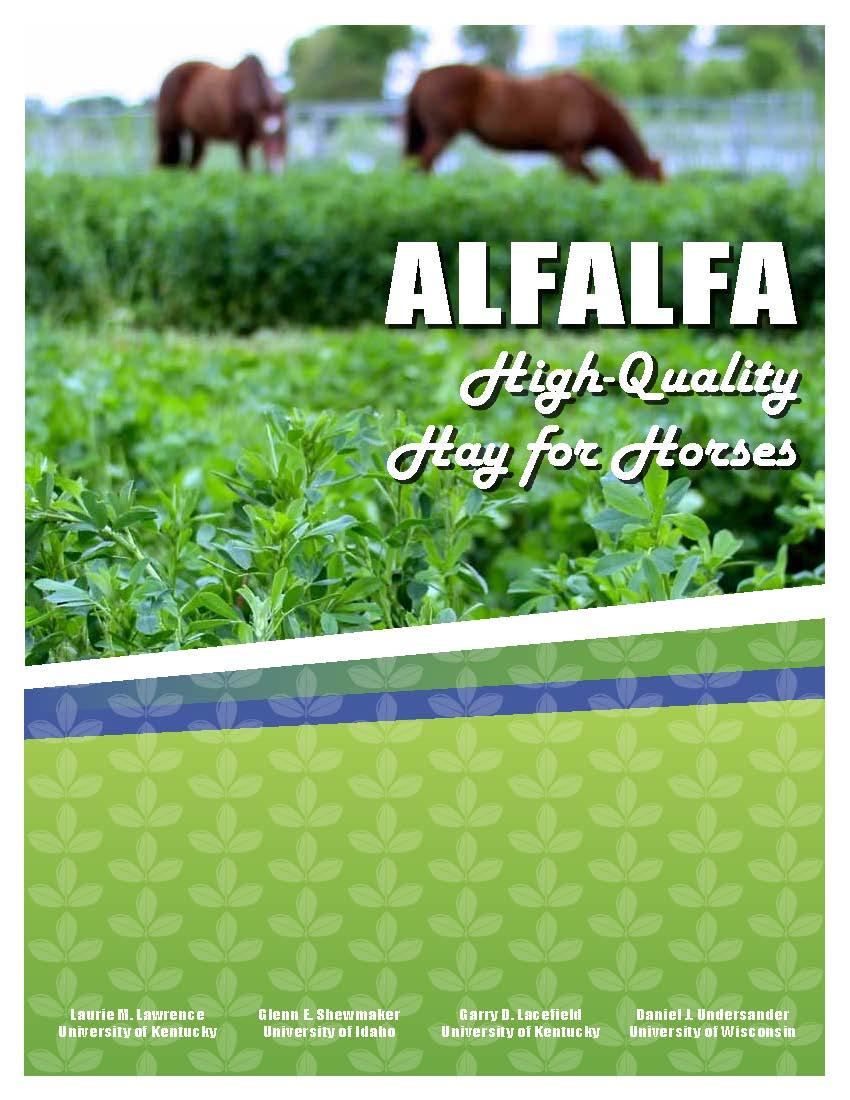 Alfalfa High Quality Hay for Horses