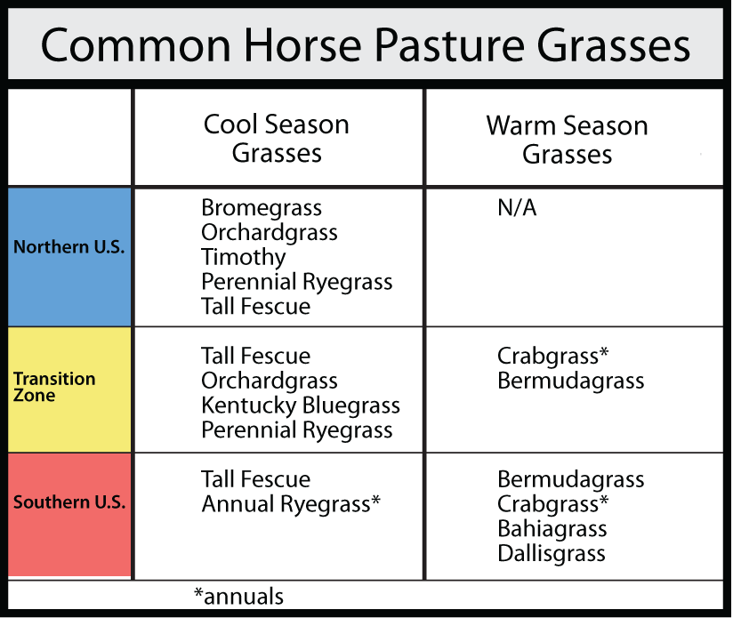 Common horse pasture grasses by transition zone