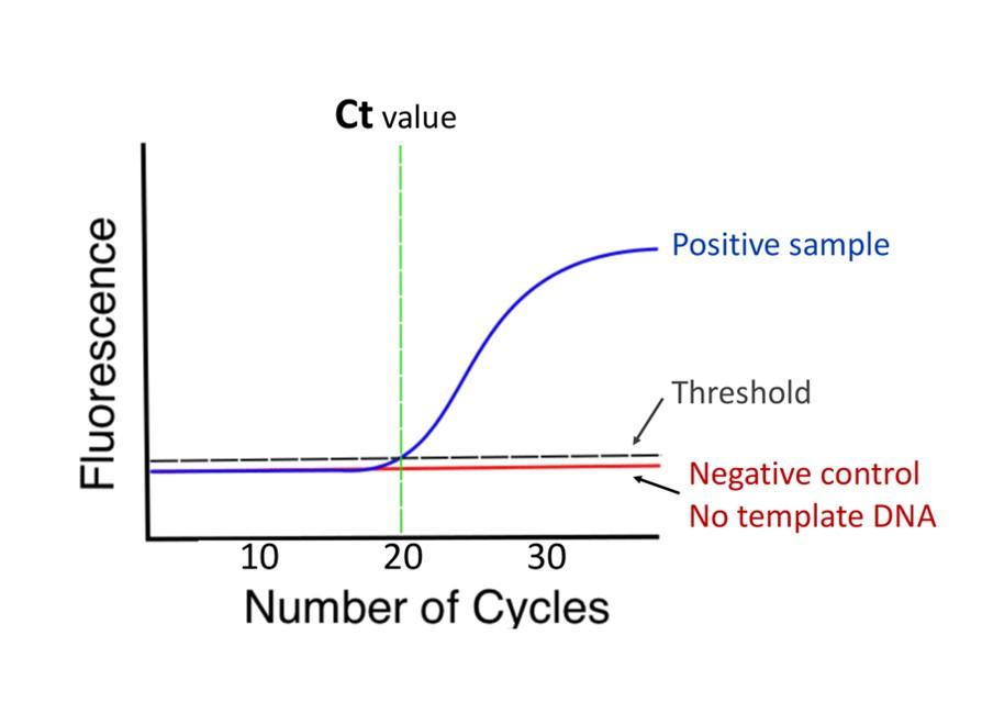 Figure 2 shows a typical graph where fluorescence intensity is plotted against reaction cycle number