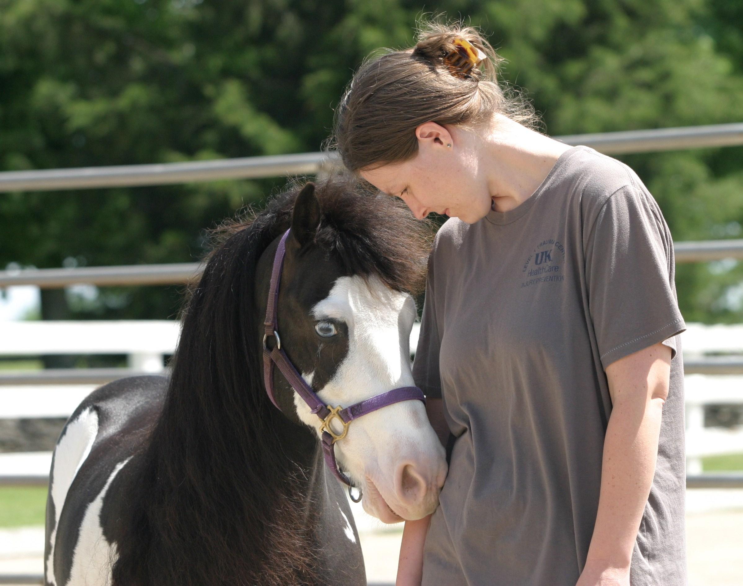 Horse bonding with human
