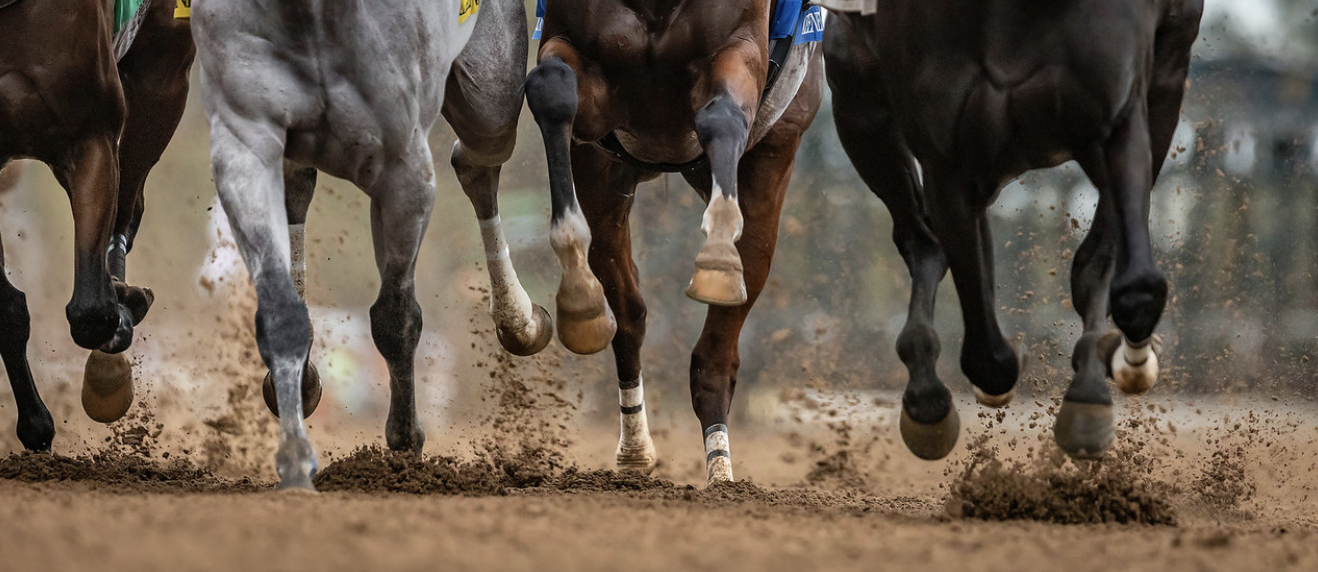 Horse feet run through a dirt track