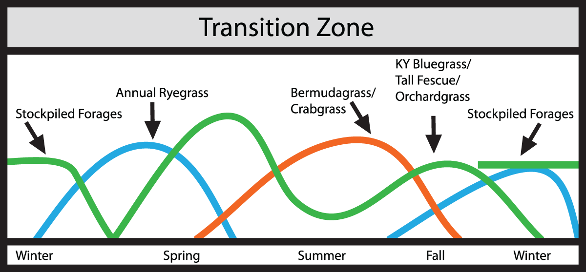 Transition Zone Seasonality