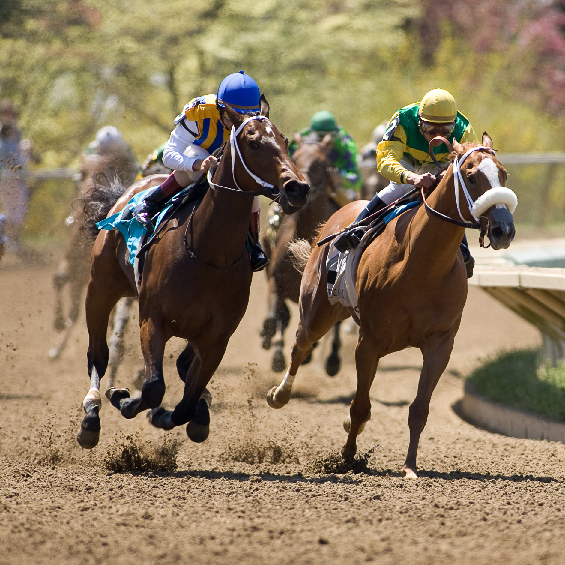 Keeneland Races