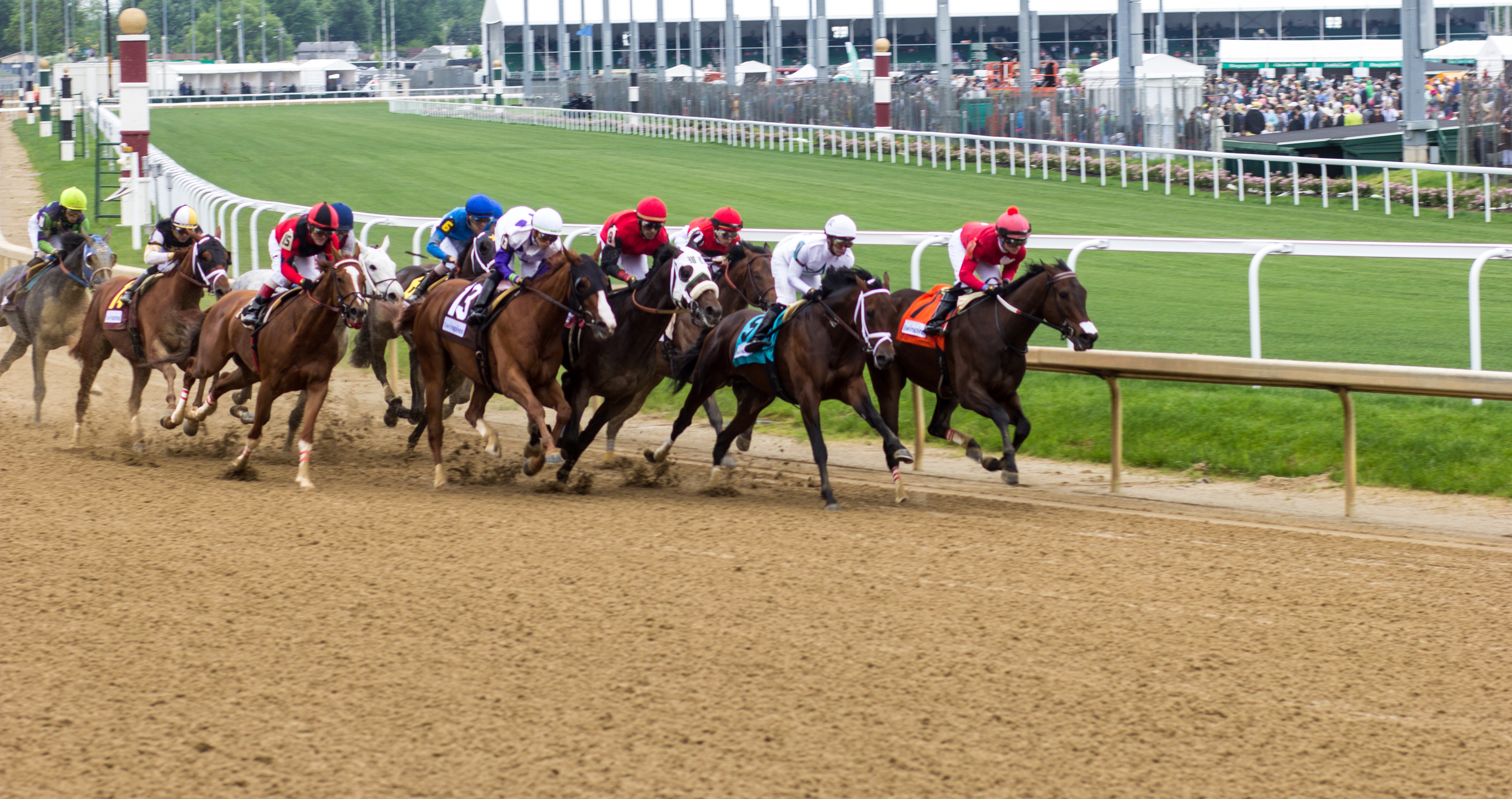 Racing at the Kentucky Derby