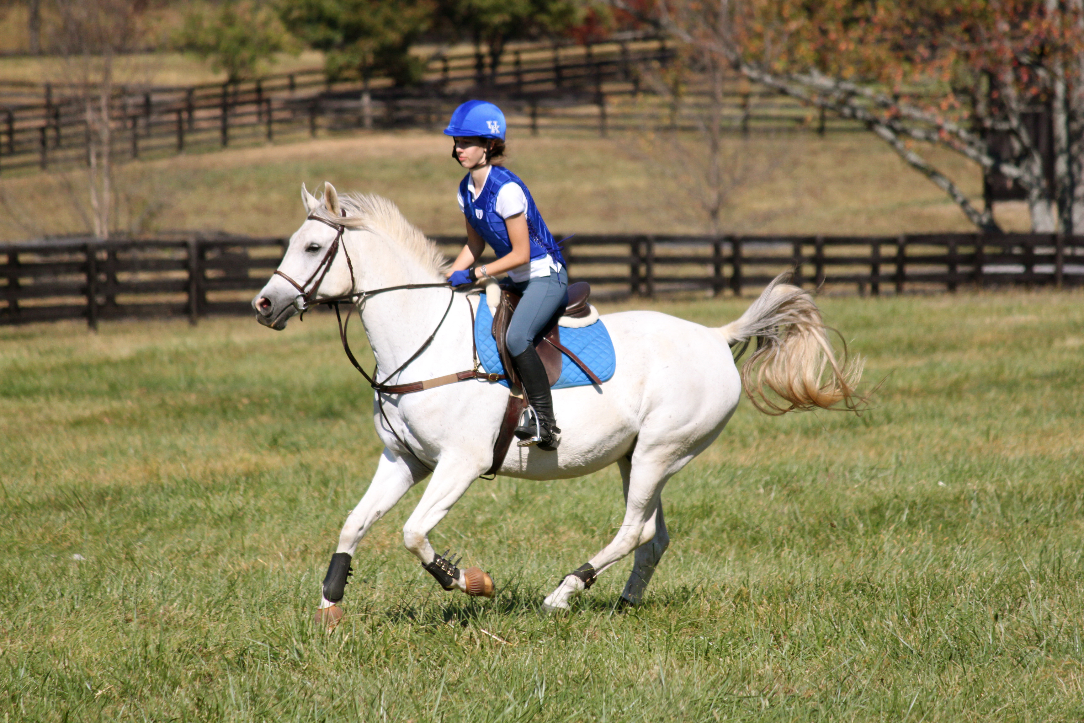 Emily Mysinger galloping Lukas.jpg