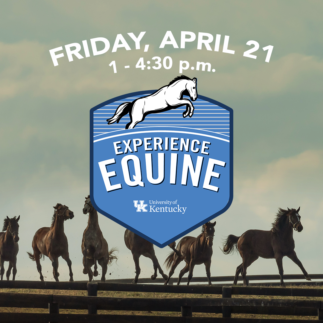 Spring 23 Experience Equine Day Insta POST.png