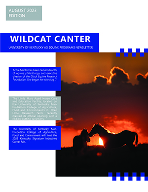 WCC cover