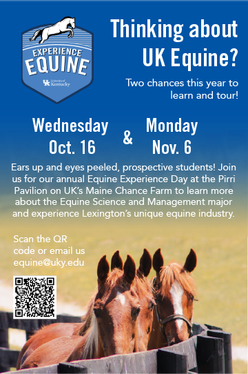 experience equine