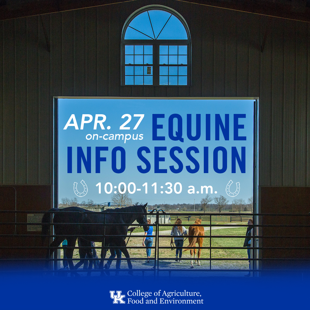 Equine Info Session 2023