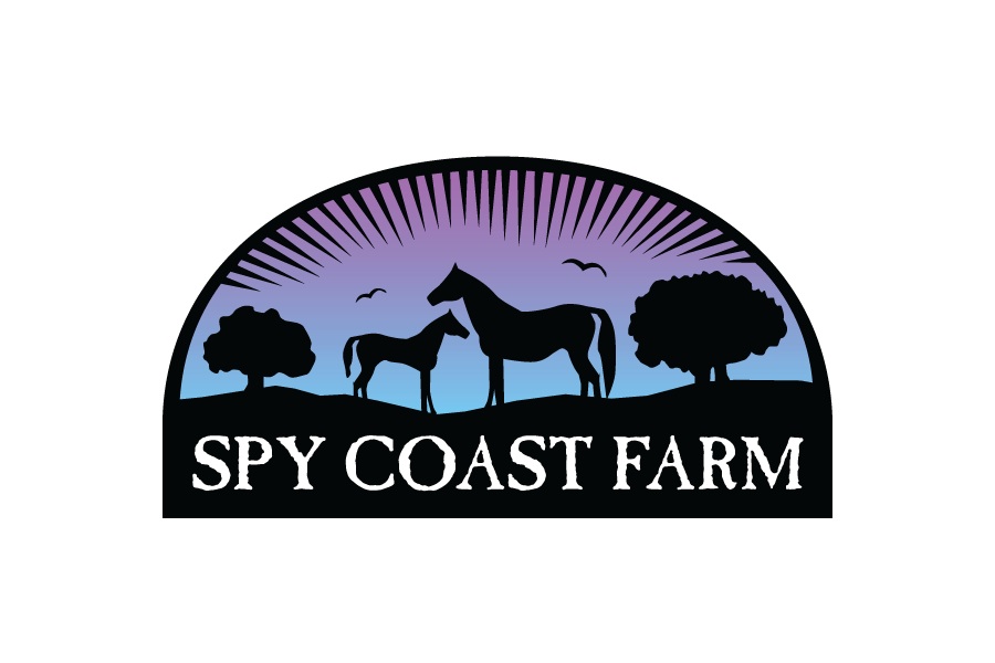 Spy_Coast