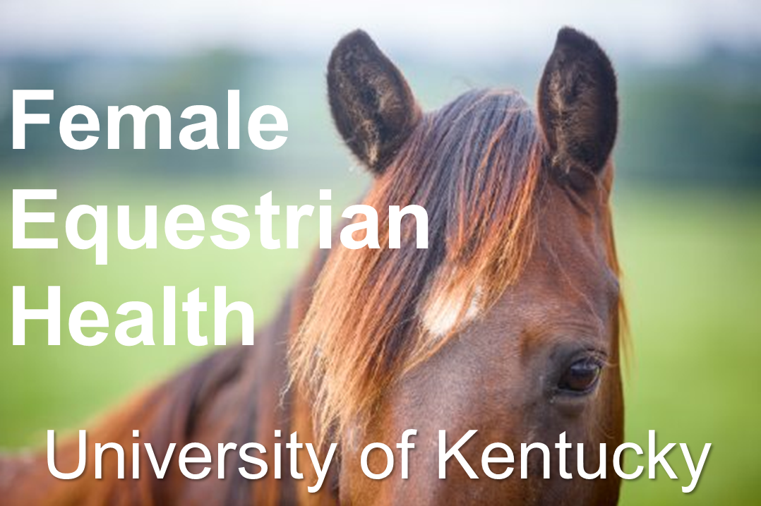 Picture of horse with text ("Famale Equestrian Health") overlayed