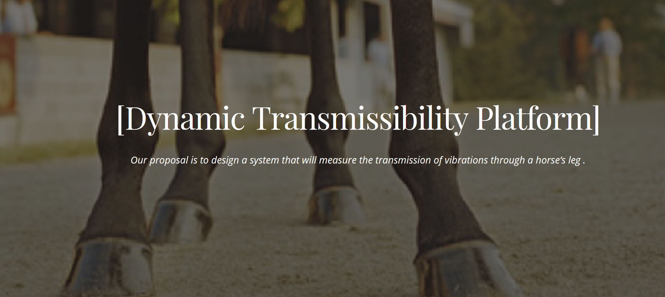 Dynamic Transmissibility Platform photo