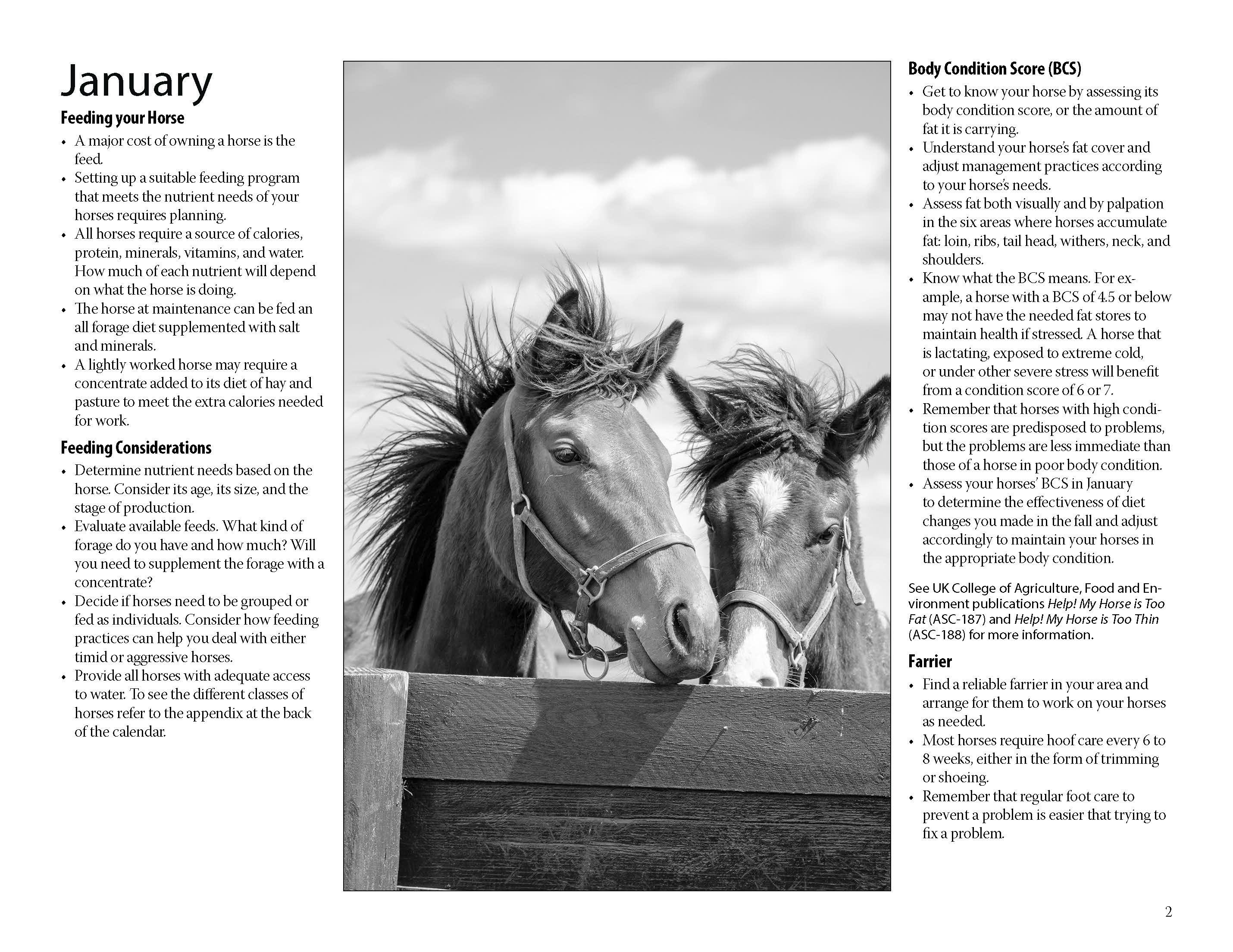 January cover of the UK Ag Equine Programs 2022 Calendar