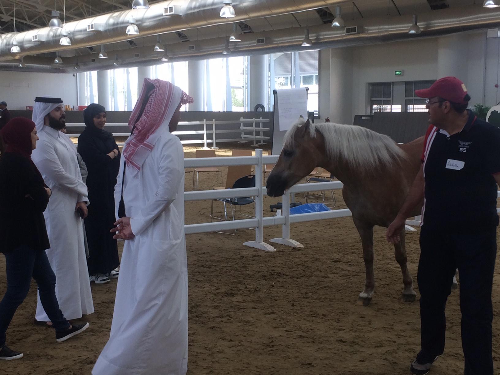 Lissa Pohl conducts leadership training using horses in Qatar