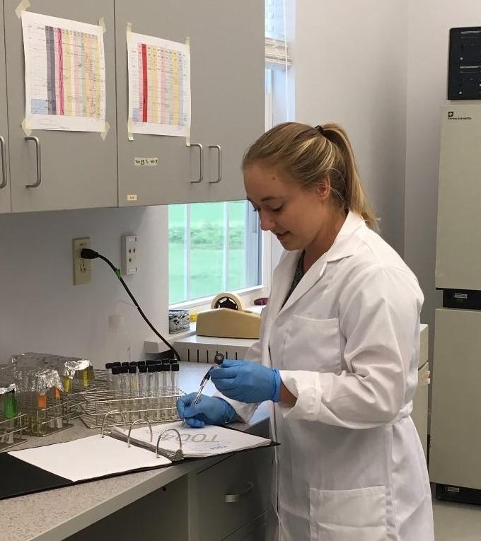 LMU veterinary student Erica Yopp, pictured plating out bacterica