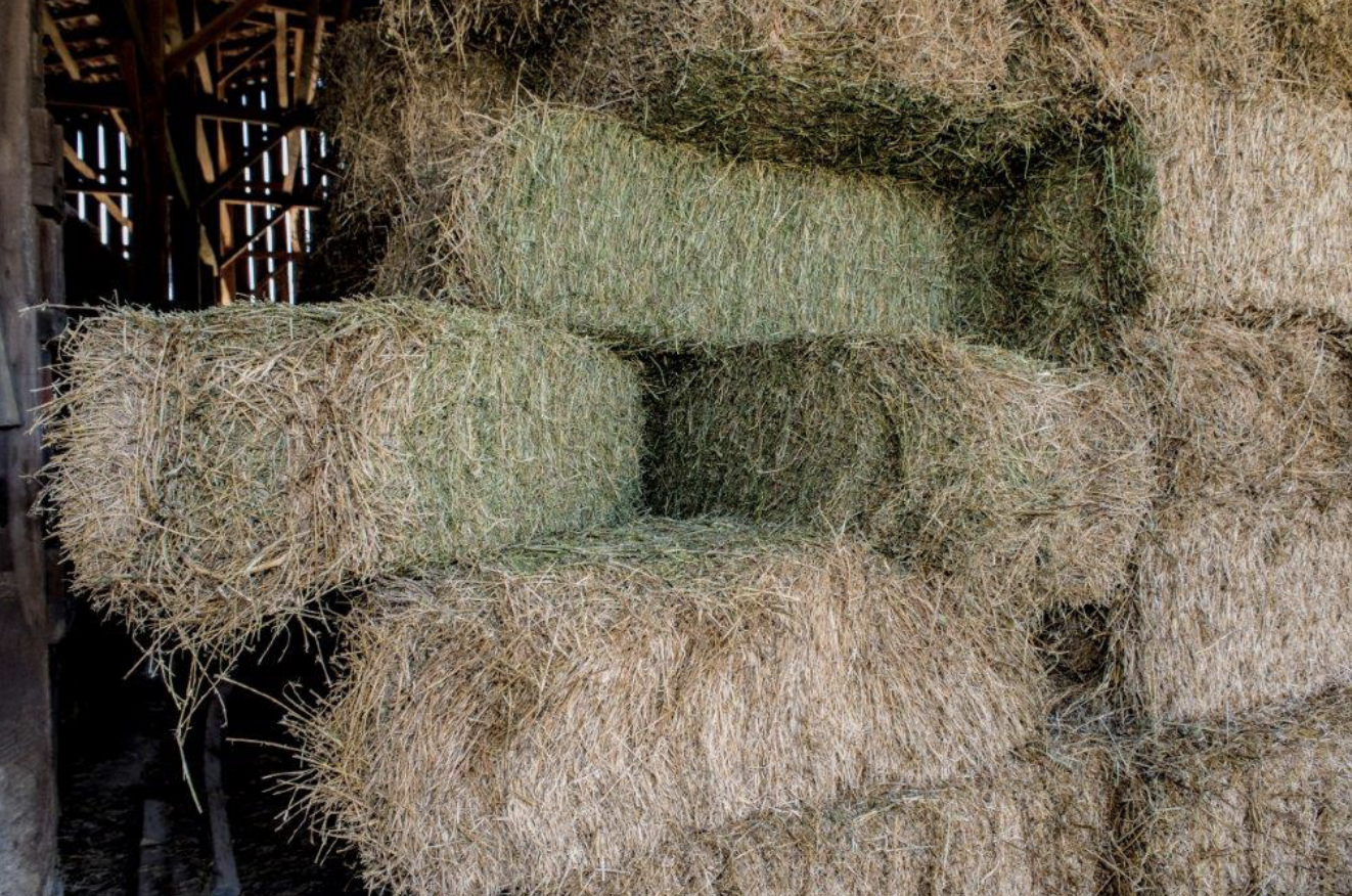 Stacked Hay
