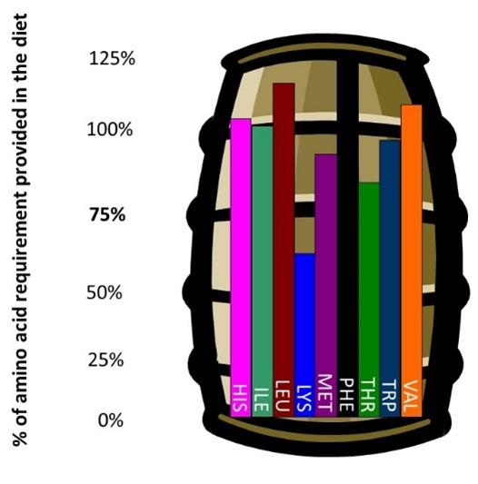 Figure 2, graphic courtesy Dr. Kristine Urschel. 