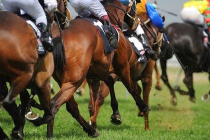 Jockeys riding racehorses