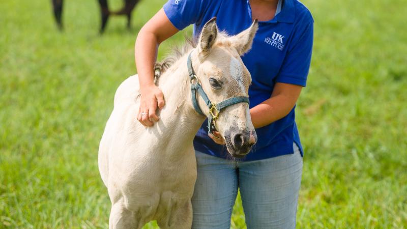 Foal_Farm_Student_Photo