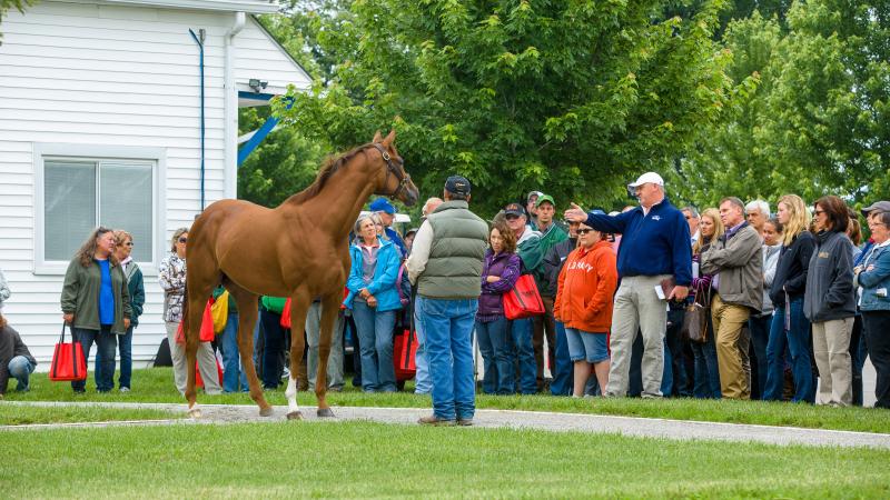 Crowd onlooking a horse at field day at McPeek Racing