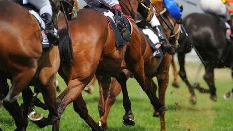 Jockeys riding racehorses