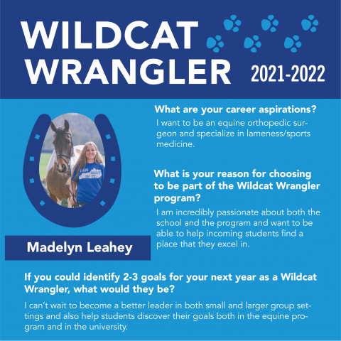 Wildcat Canter Bio for Madelyn Leahey