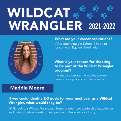 Wildcat Canter Bio for Maddie Moore